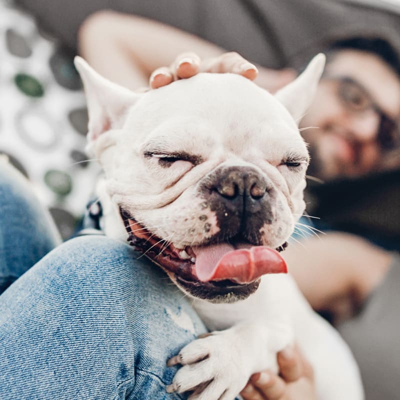 Dental Services, Saanichton